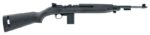 CHIAPPA M1-22 .22LR