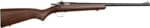 CRICKETT RIFLE G2 .22WMR