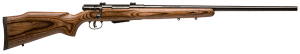SAVAGE 25LW VARMINTER .17HORN