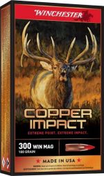 WINCHESTER DEER XP 300WM 180GR