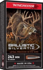 WINCHESTER SUPREME 243 WIN - 95GR SILVER-TIP 20RD 10BX/CS