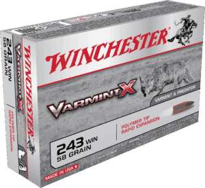 WINCHESTER SPR-X 243WIN 58GR PT